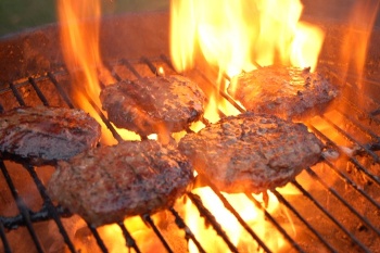 This photo of juicy hamburgers grilling on the barbeque grill was taken by photographer Julia Freeman-Woolpert of Concord, NH.  Dinner's at her house tonight!